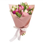 25 тюльпанов микс